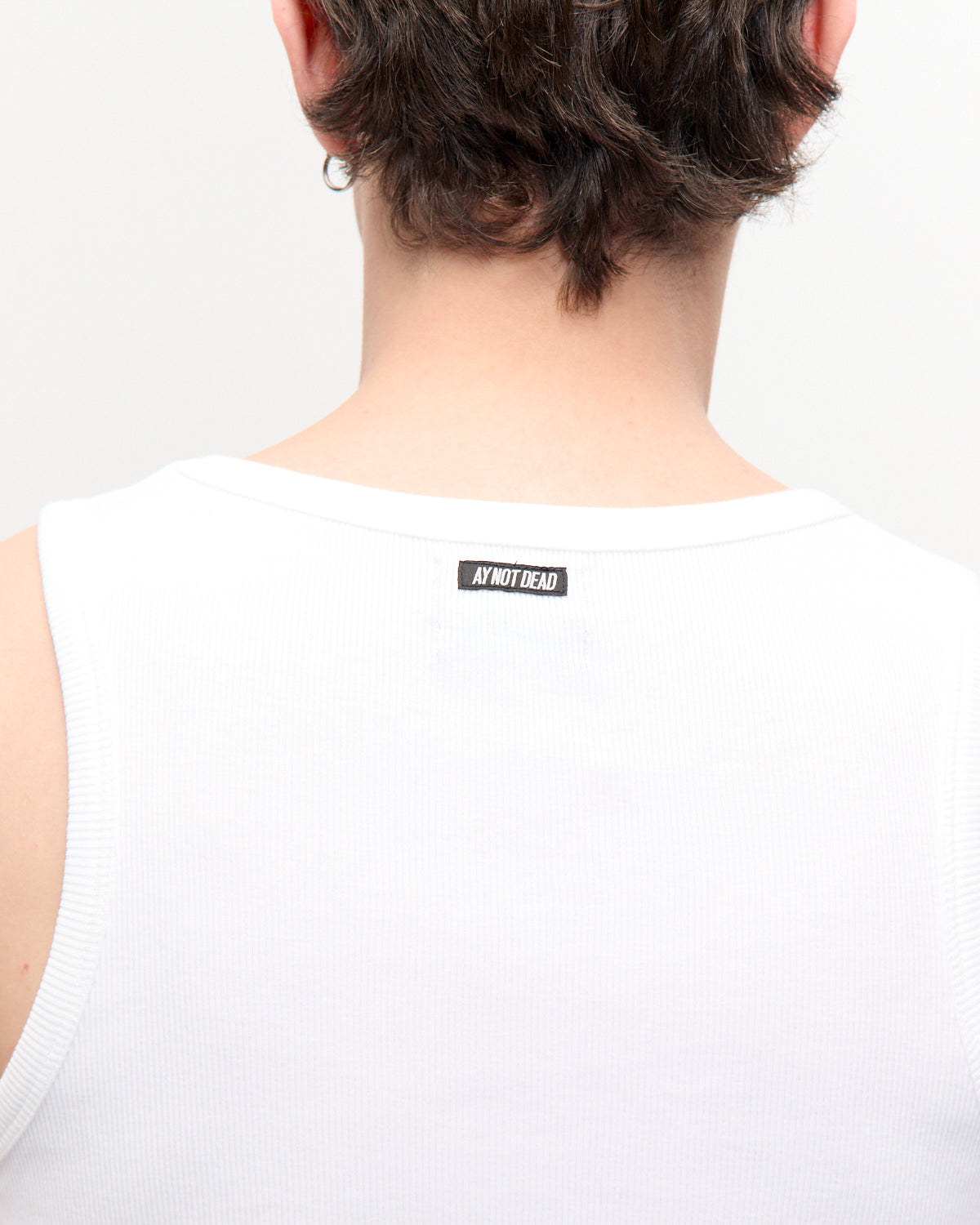 MUSCULOSA MORLEY