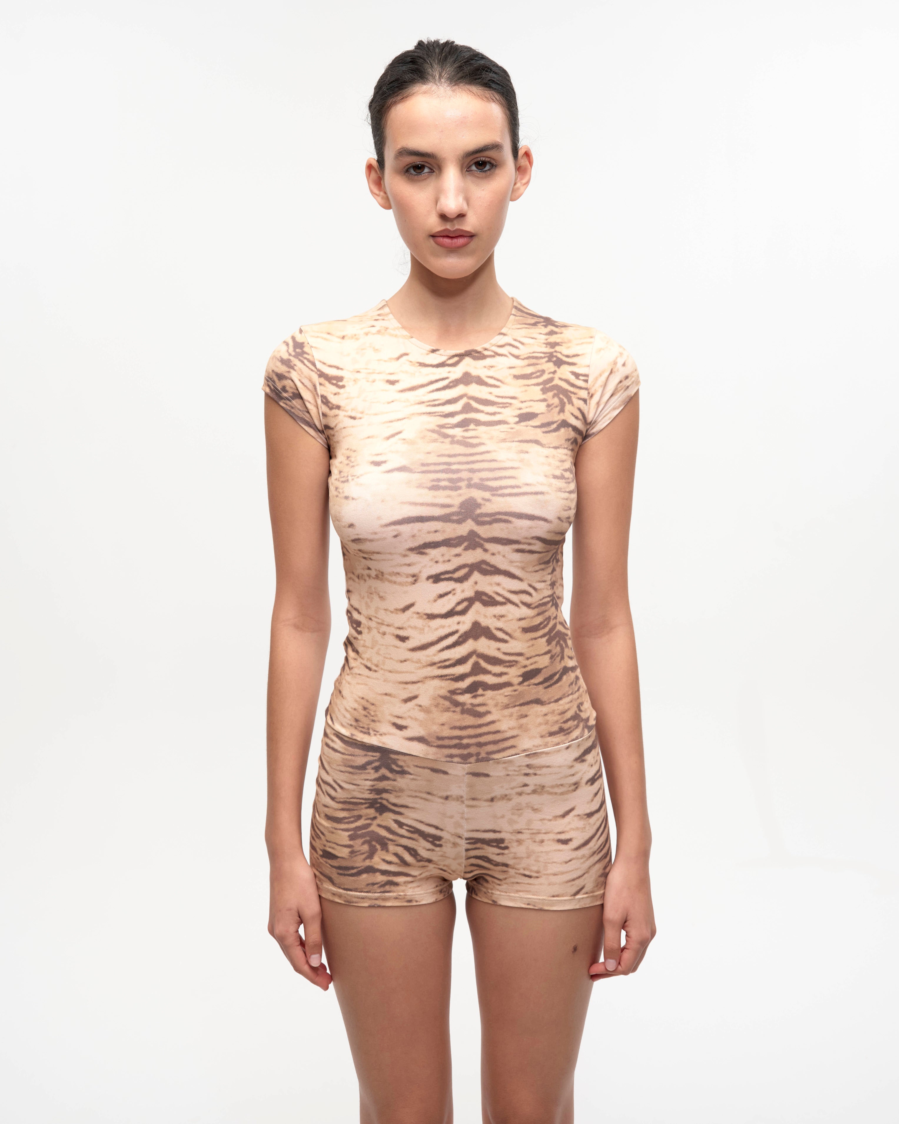 BODY ZEBRA